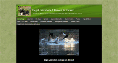 Desktop Screenshot of degellabradors.com
